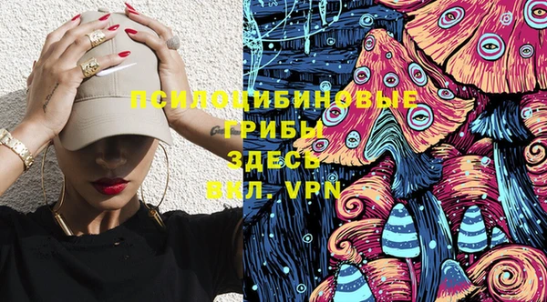 гидропоника Белокуриха